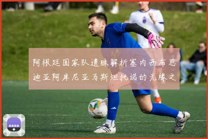 阿根廷国家队遗珠解析塞内西布恩迪亚阿库尼亚马斯坦托诺的无缘之路