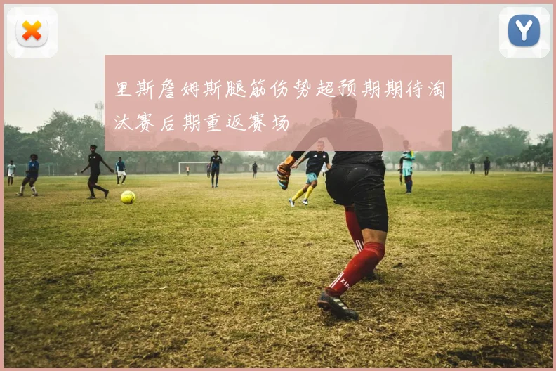 里斯詹姆斯腿筋伤势超预期期待淘汰赛后期重返赛场